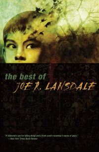 Book Cover for The Best of Joe R. Lansdale by Joe R Lansdale