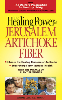 Book Cover for The Healing Power of Jerusalem Artichoke Fiber by Michael Loes