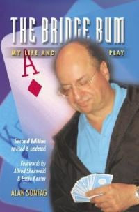 Book Cover for The Bridge Bum by Julian Pottage