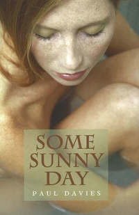 Book Cover for Some Sunny Day by Paul Davies