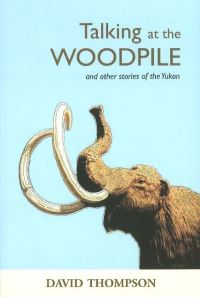 Book Cover for Talking at the Woodpile by David Thompson
