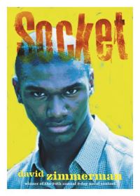 Book Cover for Socket by David Zimmerman