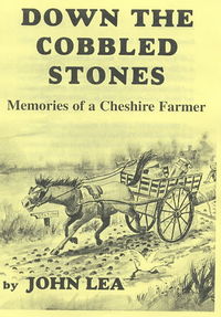 Book Cover for Down the Cobbled Stones by John Lea