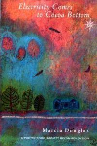 Book Cover for Electricity Comes to Cocoa Bottom by Marcia Douglas