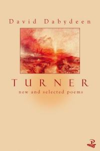 Book Cover for Turner by David Dabydeen