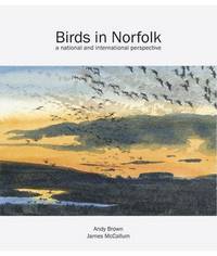 Book Cover for Birds in Norfolk by A F Brown