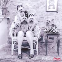 Book Cover for Pets by Sue Packer