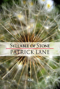 Book Cover for Syllable of Stone by Patrick Lane