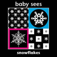 Book Cover for Snowflakes by Chez Picthall