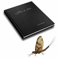 Book Cover for Flies as Art by David Hancock
