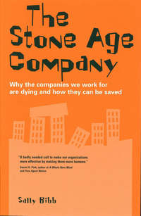 Book Cover for The Stone Age Company by Sally Bibb