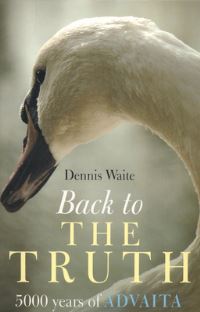Book Cover for Back to the Truth by Dennis Waite
