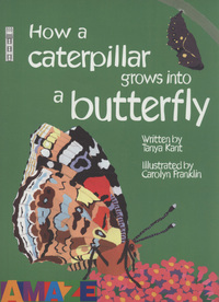 Book Cover for How a Caterpillar Grows Into a Butterfly by Tanya Kant, Carolyn Scrace