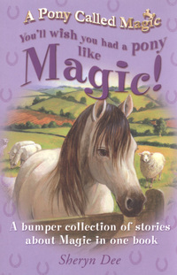 Book Cover for You'll Wish You Had a Pony Like Magic! by Sheryn Dee, Matt Cosgrove