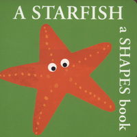 Book Cover for A Starfish by Britta Teckentrup, Bernette G Ford