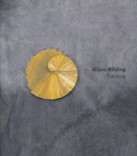 Book Cover for Alison Wilding by Alison Wilding