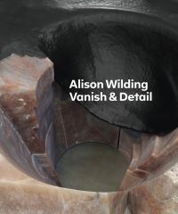 Book Cover for Alison Wilding - Vanish & Detail by Alison Wilding, Penelope Curtis, Anna Moszynska, Tate Britain Gallery