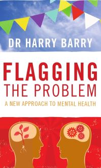 Book Cover for Flagging the Problem by Harry Barry