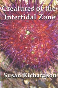 Book Cover for Creatures of the Intertidal Zone by Susan Richardson
