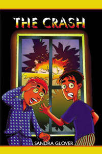 Book Cover for The Crash by Raj Thakkar, Duncan Rourke, Raj Thakkar
