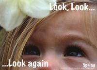 Book Cover for Look, Look...... Look Again Spring by Claire Warden
