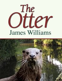 Book Cover for The Otter by James Williams