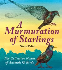 Book Cover for A Murmuration of Starlings by Steve Palin, Steve Palin