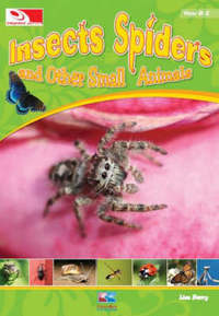 Book Cover for Insects, Spiders and Other Small Animals by Lisa Berry