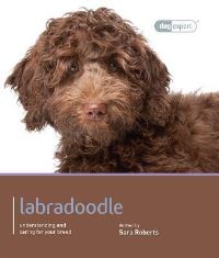 Book Cover for Labradoodle by Sara Roberts