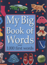 Book Cover for My Big Book of Words by Christiane Gunzi