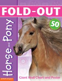 Book Cover for Fold-Out Poster Sticker Book by Chez Picthall