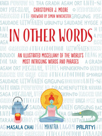 Book Cover for In Other Words by C J Moore