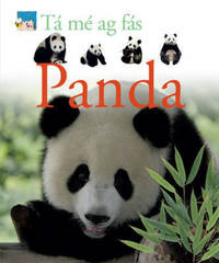 Book Cover for Panda by Fleur Star, Lorrie Mack