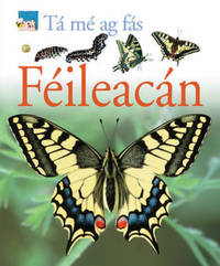 Book Cover for Féileacán by Lisa Magloff