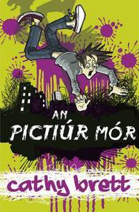 Book Cover for An Pictiúr Mór by Cathy Brett