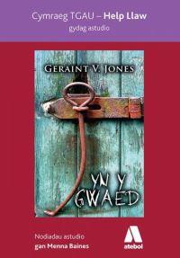 Book Cover for Yn Y Gwaed by Menna Baines