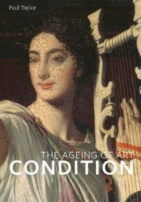 Book Cover for Condition by Paul Taylor