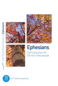 Book Cover for God's Big Plan for Christ's New People by Thabiti M Anyabwile