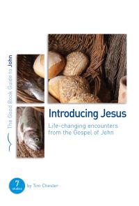 Book Cover for Introducing Jesus by Tim Chester