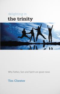 Book Cover for Delighting in the Trinity by Tim Chester