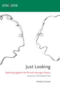 Book Cover for Just Looking by Andrew Cornes