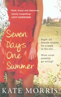 Book Cover for Seven Days One Summer by Kate Morris