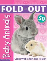 Book Cover for Fold-Out Poster Sticker Book by Chez Picthall