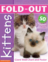 Book Cover for Fold-Out Poster Sticker Book by Chez Picthall