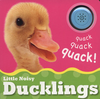 Book Cover for Little Noisy Ducklings by Christiane Gunzi