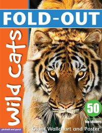Book Cover for Fold-Out Poster Sticker Book by Chez Picthall