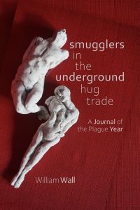 Book Cover for Smugglers in the Underground Hug Trade by William Wall