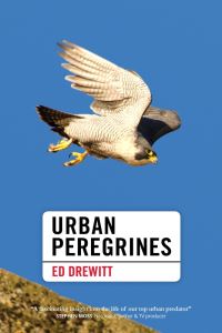 Book Cover for Urban Peregrines by Ed Drewitt