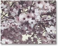 Book Cover for Blossom by Ben Lerner