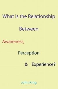 Book Cover for What Is the Relationship Between Awareness, Perception and Experience? by John King